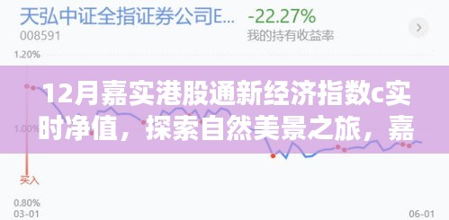 嘉实港股通新经济指数下的自然美景探索与心灵净化时刻（实时净值）