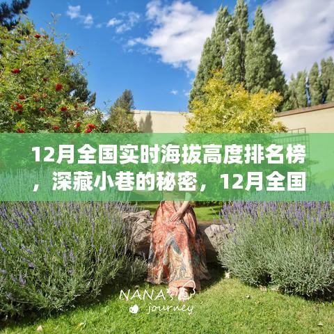 揭秘深藏小巷的特色小店，12月全国实时海拔高度排名榜探秘