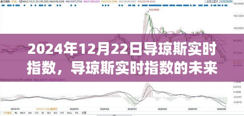 导琼斯实时指数，未来展望与深度解析（2024年12月22日视角）
