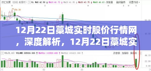 深度解析，藁城实时股价行情网