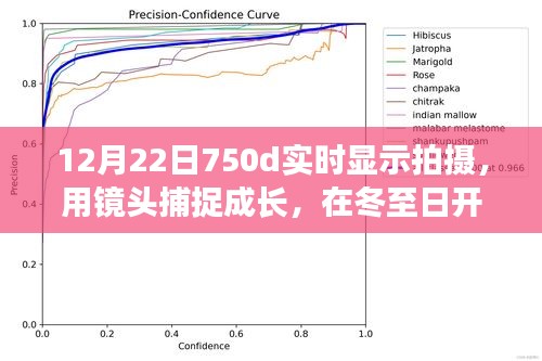 冬至成长摄影之旅，捕捉成长的瞬间，自信闪耀的摄影之旅
