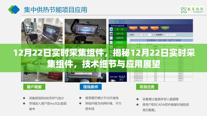 张牙舞爪 第7页