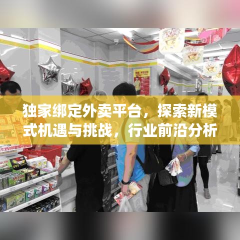 独家绑定外卖平台，探索新模式机遇与挑战，行业前沿分析