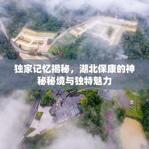 手舞足蹈 第8页