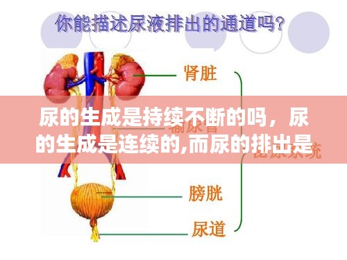 buweiquangui 第8页