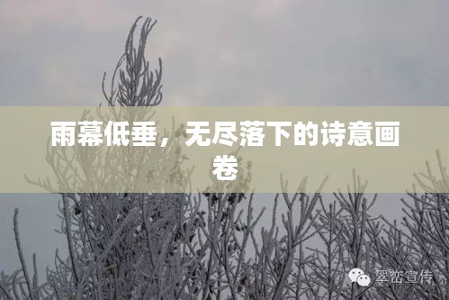 huaxiangniaoyu 第7页