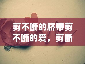 剪不断的脐带剪不断的爱，剪断的脐带甩开的手是什么歌 