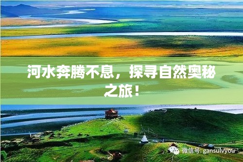 diusanluosi 第6页