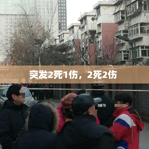 突发2死1伤，2死2伤 