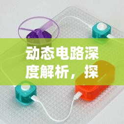 动态电路深度解析，探究电路动态行为专题1