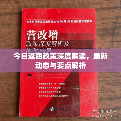 今日返商政策深度解读，最新动态与要点解析