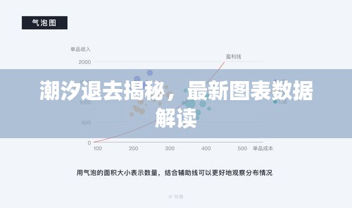 潮汐退去揭秘，最新图表数据解读