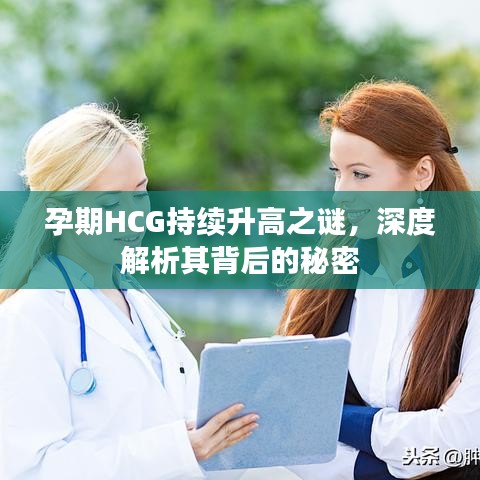孕期HCG持续升高之谜，深度解析其背后的秘密