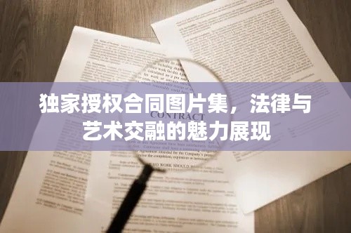 独家授权合同图片集，法律与艺术交融的魅力展现