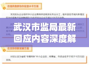 武汉市监局最新回应内容深度解析，权威声音，公众关注焦点解读