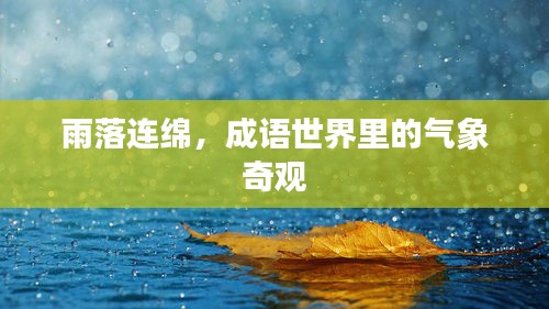 雨落连绵，成语世界里的气象奇观