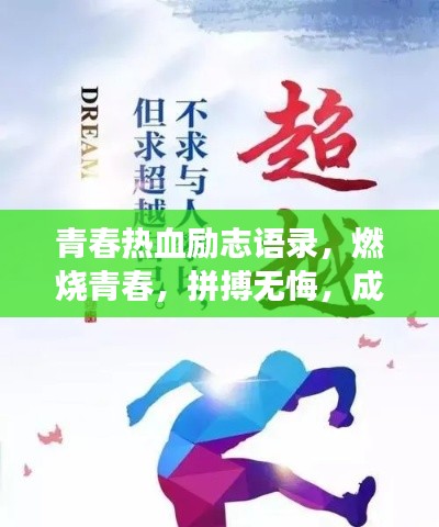 条款 第68页