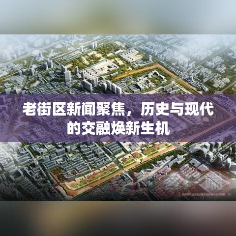 mingmuzhangdan 第4页