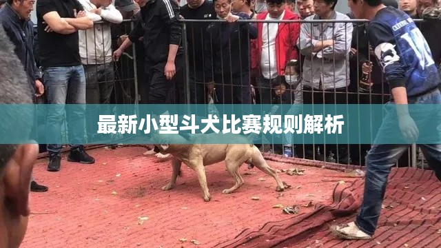 niaogehuifei 第3页