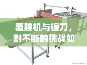 jujianyonggui 第4页