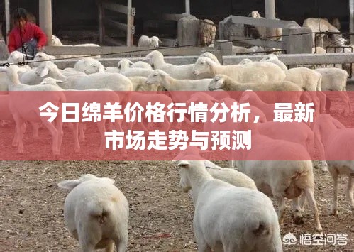 第325页