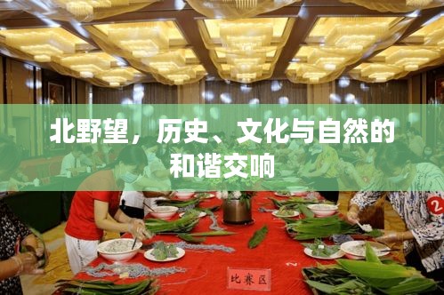 新闻 第43页