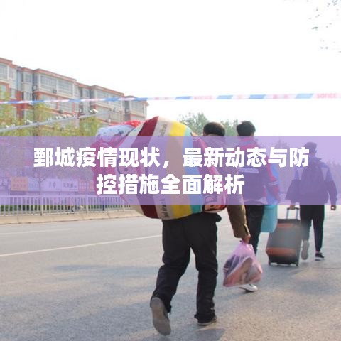 鄄城疫情现状，最新动态与防控措施全面解析