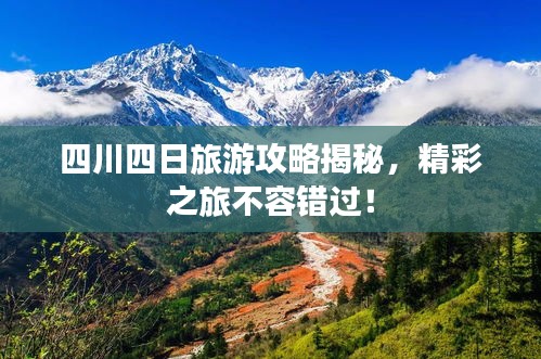 新闻 第39页