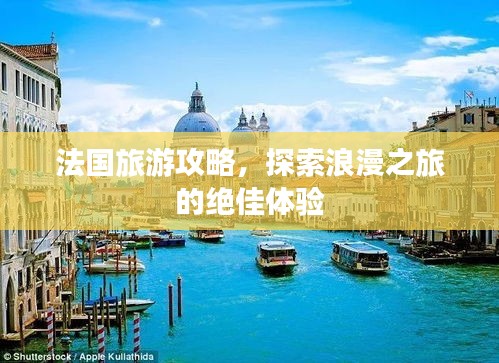 条款 第43页