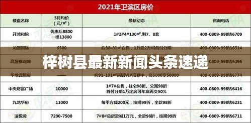 梓树县最新新闻头条速递