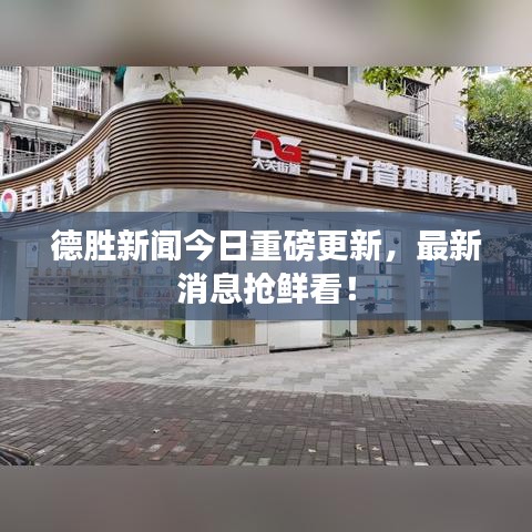 评价 第35页