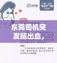 东莞司机突发脑出血，生命的脆弱呼唤社会关怀与关注