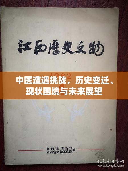 中医遭遇挑战，历史变迁、现状困境与未来展望