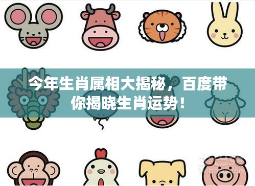 评价 第25页