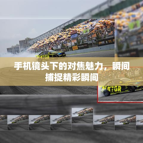 手机镜头下的对焦魅力，瞬间捕捉精彩瞬间