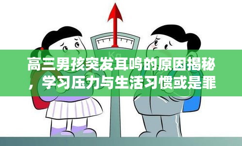 评价 第20页