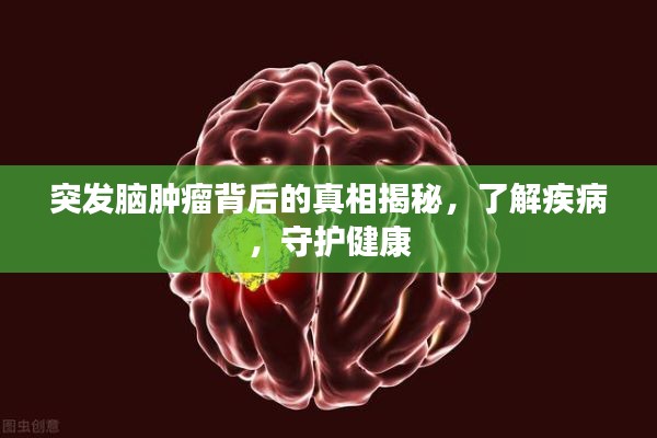 qinshouyimei 第2页