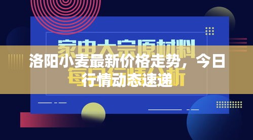 商品分类 第20页