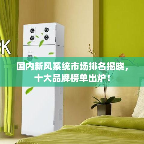 diusanluosi 第2页