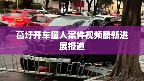 葛圩开车撞人案件视频最新进展报道