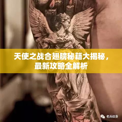 评价 第12页