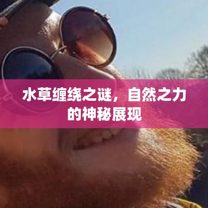 水草缠绕之谜，自然之力的神秘展现