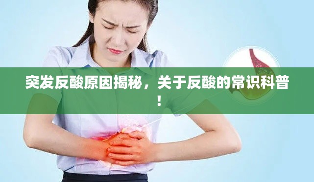 评价 第2页