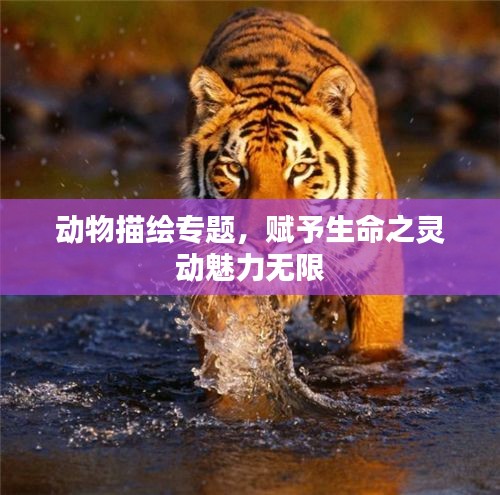 动物描绘专题，赋予生命之灵动魅力无限