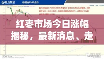 红枣市场今日涨幅揭秘，最新消息、走势分析及预测