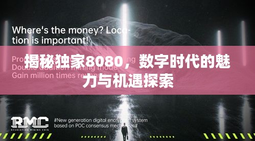 揭秘独家8080，数字时代的魅力与机遇探索